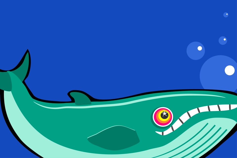 Sea ocean underwater
