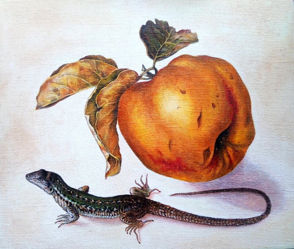 Painting apple lizard