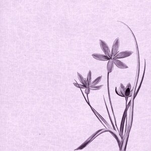 Purple vintage backgrounds design