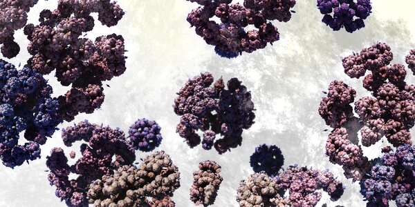 Abstract texture render