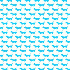Dog blue animal