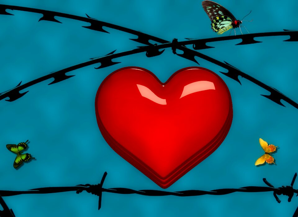 Red love freedom