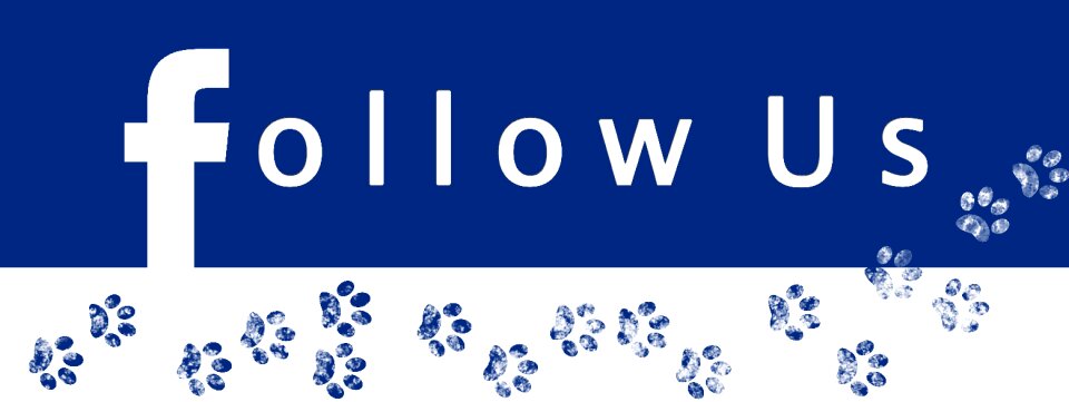 Media social network
