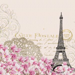 Flower pink post card