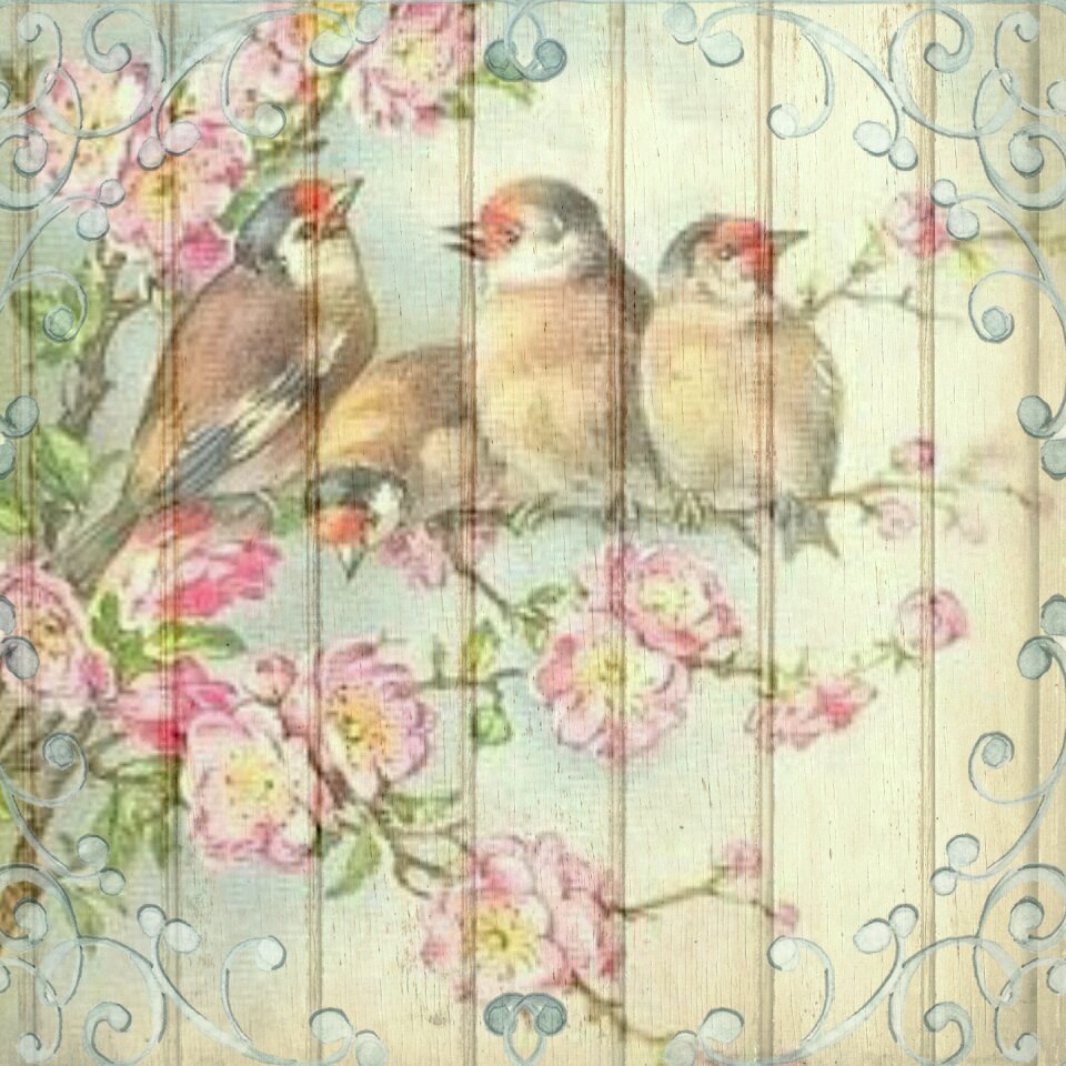 Wooden romantic nature