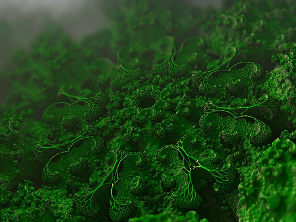 Microscopic microbiology bacterium