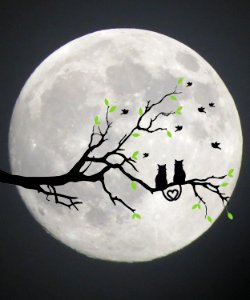 Silhouette gray moon Free illustrations