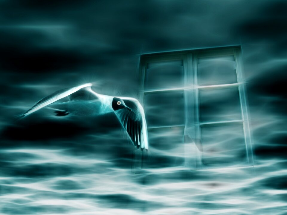 Sea dream illusion