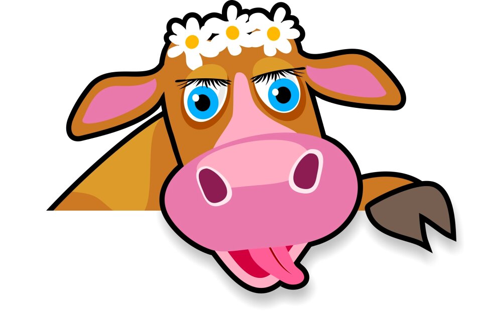 Domestic agricultural cow