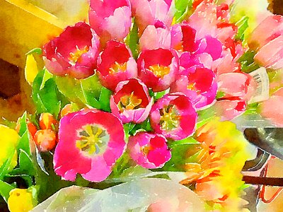 Floral flower plant