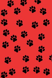 Paw black red