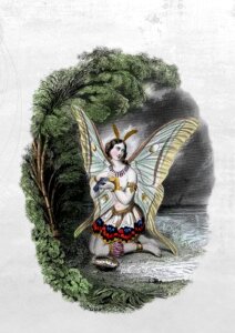 Fantasy forest wings