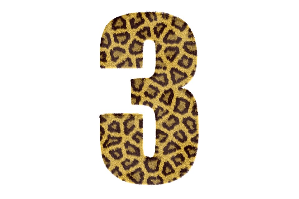 Texture leopard text