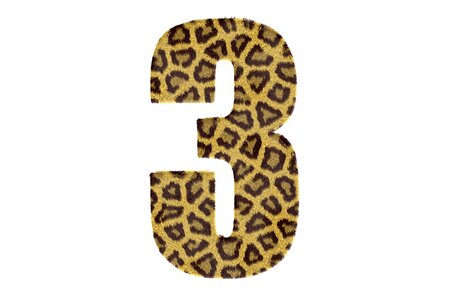 Texture leopard text