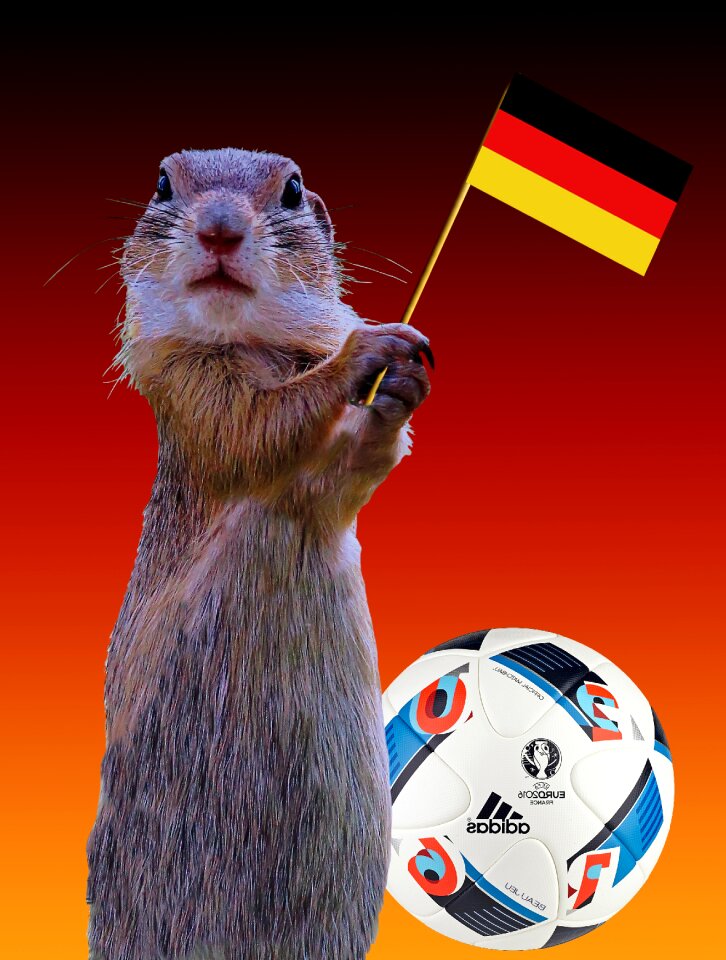 Flag germany ball