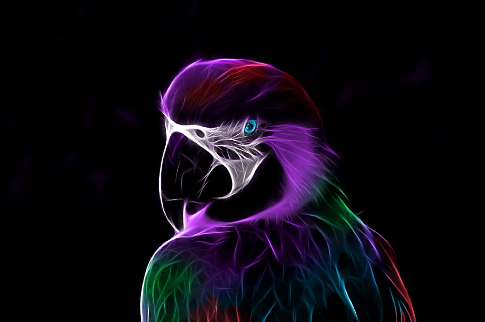 Colorful fractalius Free illustrations