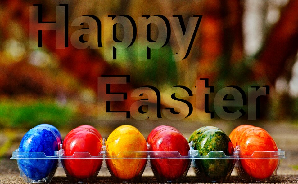 Happy easter egg colored
