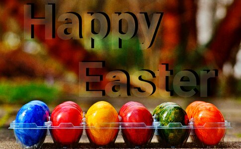 Happy easter egg colored