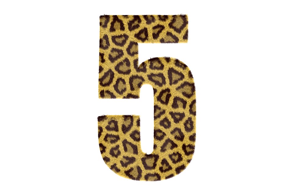 Texture leopard text