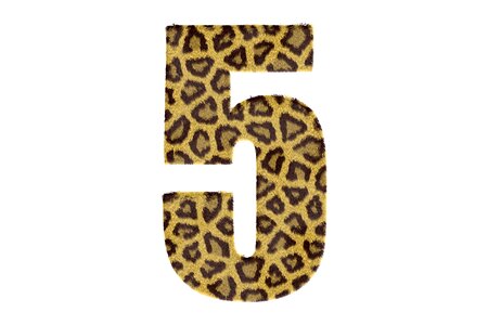 Texture leopard text