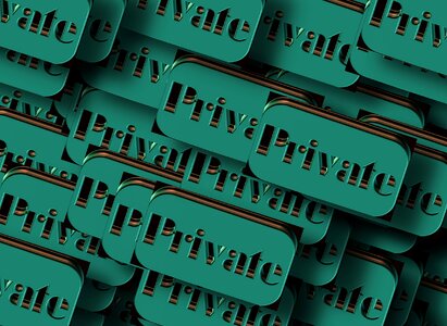 Privacy goal door