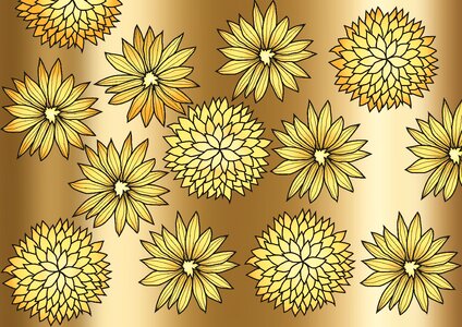 Flowers contour graphic