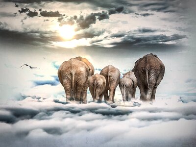 Away sky landscape