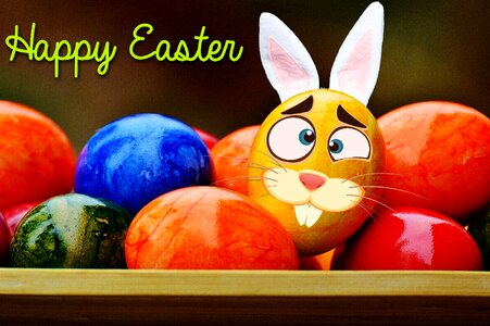 Happy easter egg colored
