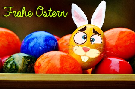 Happy easter egg colored