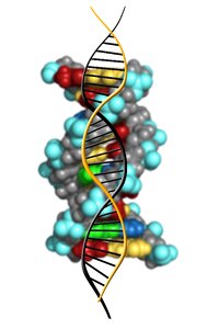 Genetics symbol biology