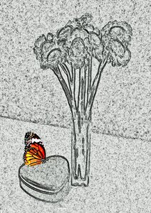 Grey butterfly insect