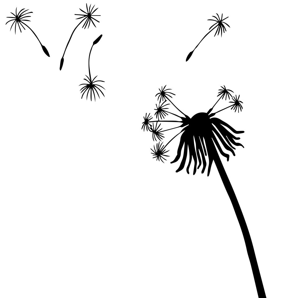 Botany flower flora
