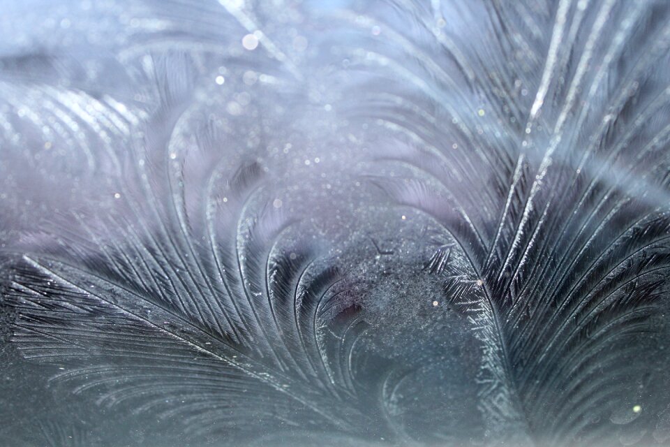 Frost eiskristalle iced