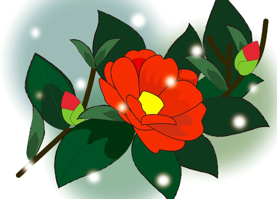 Flowers snow Free illustrations