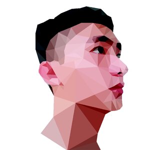 Art drawing low poly