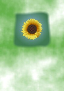 Botany flower floral