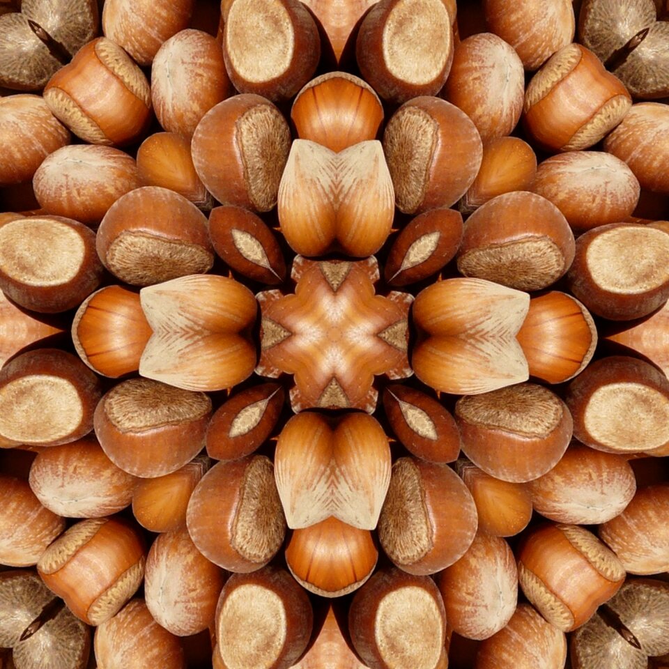 Kaleidoscope brown mandala Free illustrations
