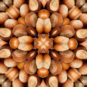 Kaleidoscope brown mandala Free illustrations