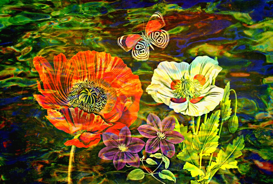 Flowers drawing colorful