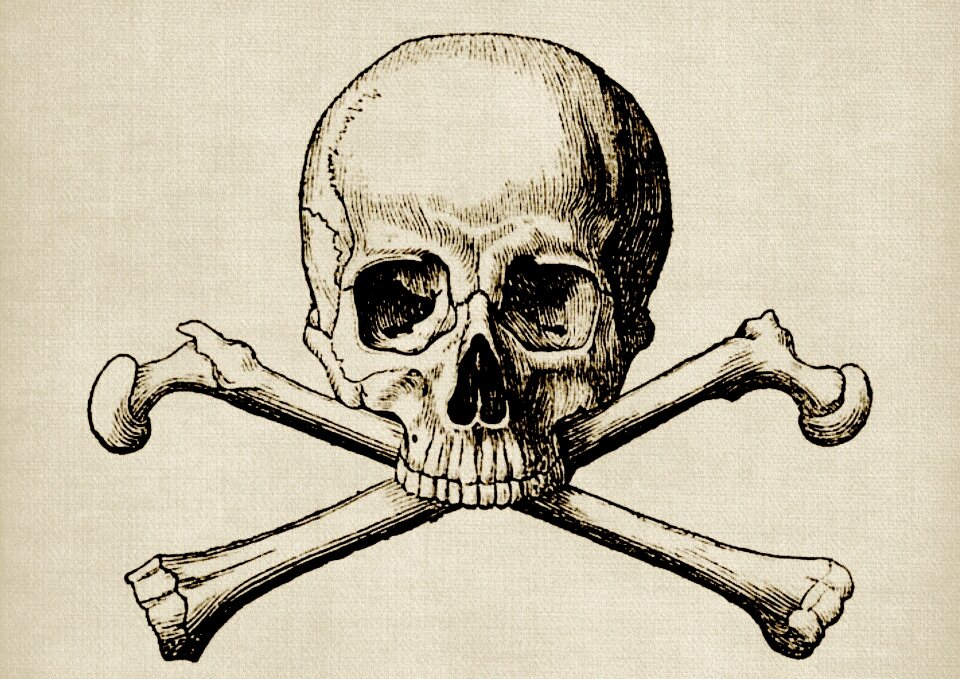 Bones skeleton weird