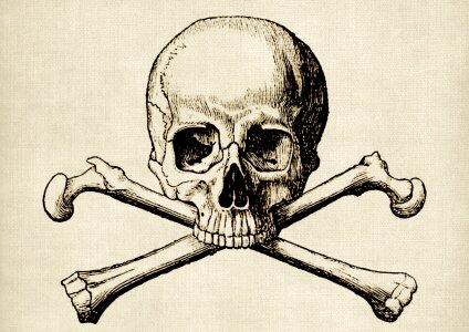 Bones skeleton weird