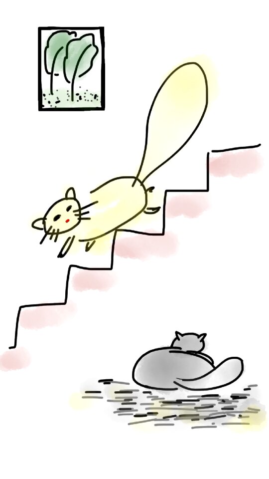 Stair cute happy