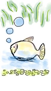 Freshwater lake life