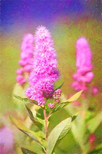 Painted piston spiere bush
