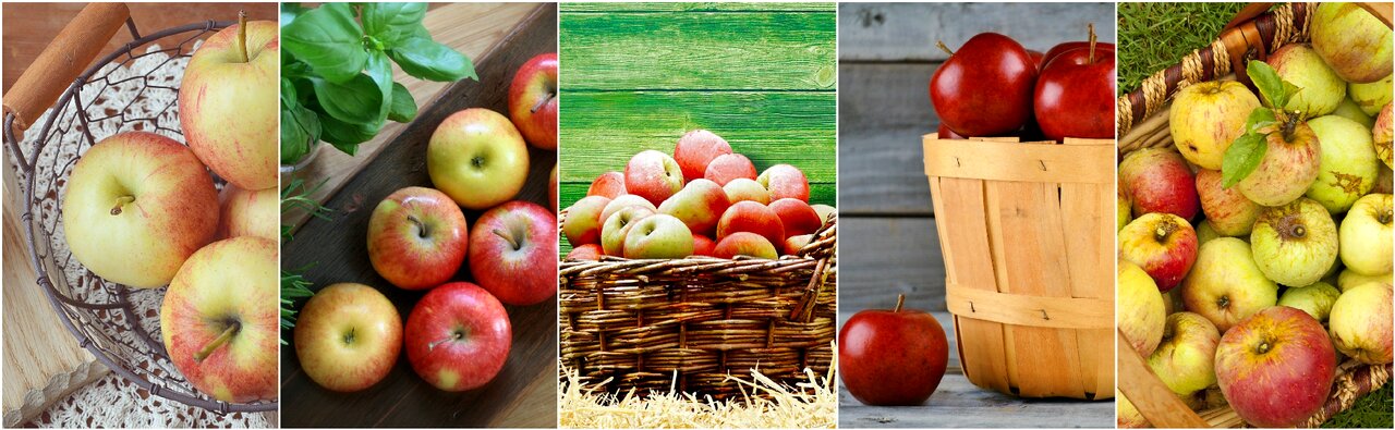 Diet weight loss green
