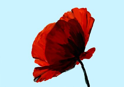 Art paint image