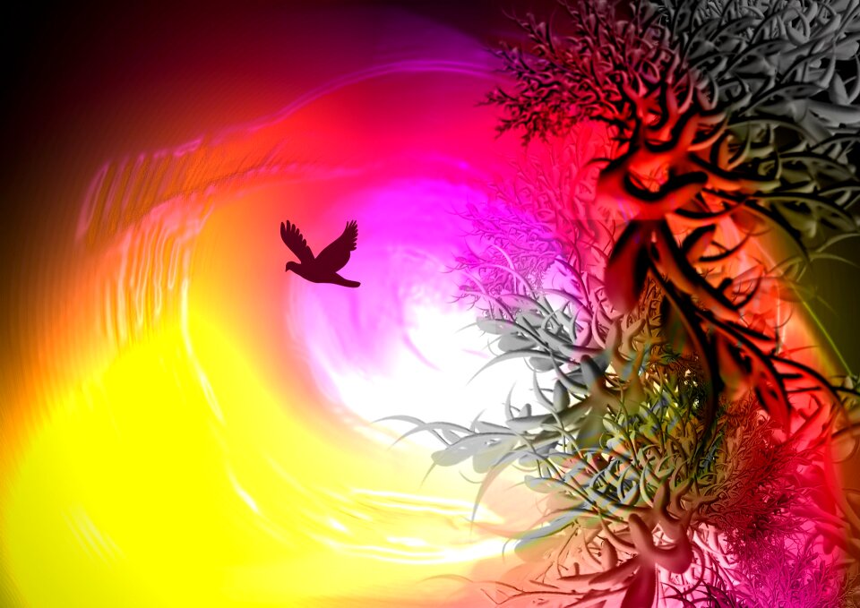 Ave nature Free illustrations