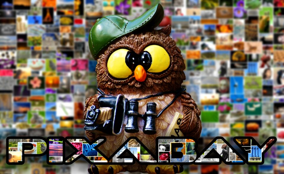 Owl figure photographer