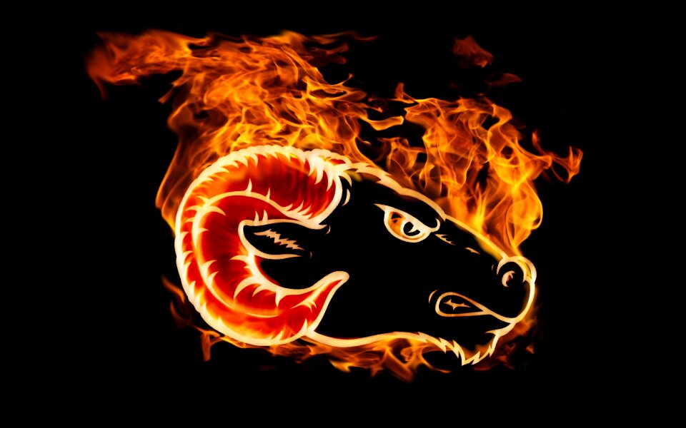 Animal capricorn black