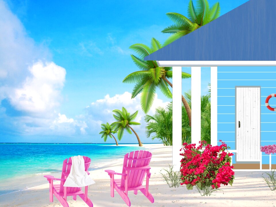 Sandy beach cottage palm trees